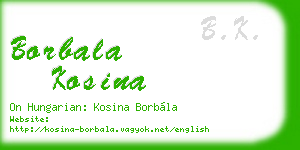 borbala kosina business card
